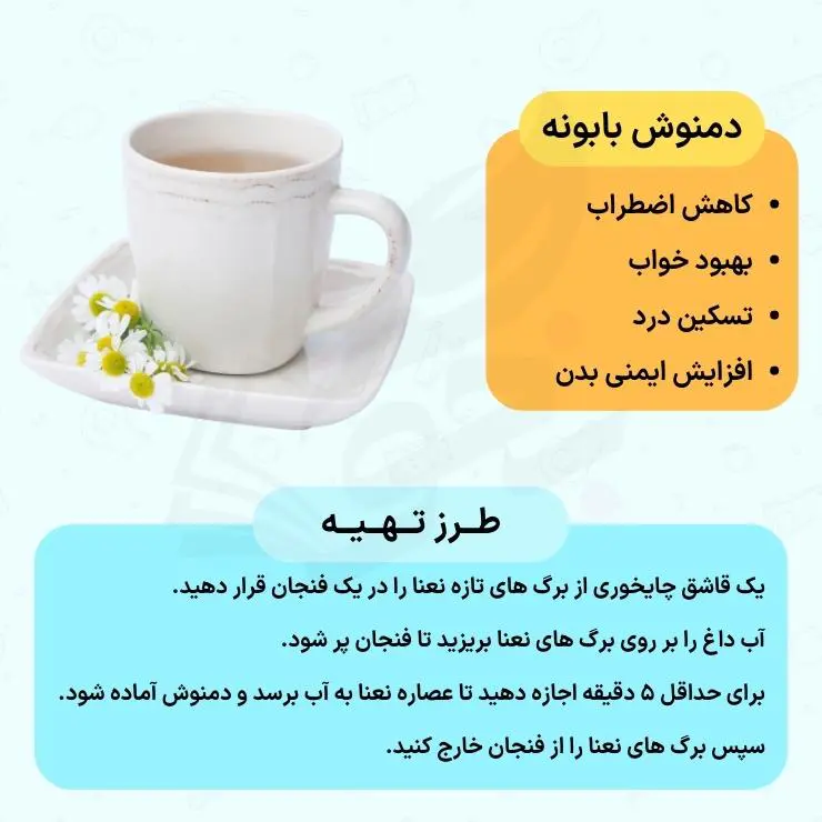 5 دمنوش مناسب برای کنکوریها + روش تهیه 8 دمنوش بابونه برای بهبود خواب کنکوری ها