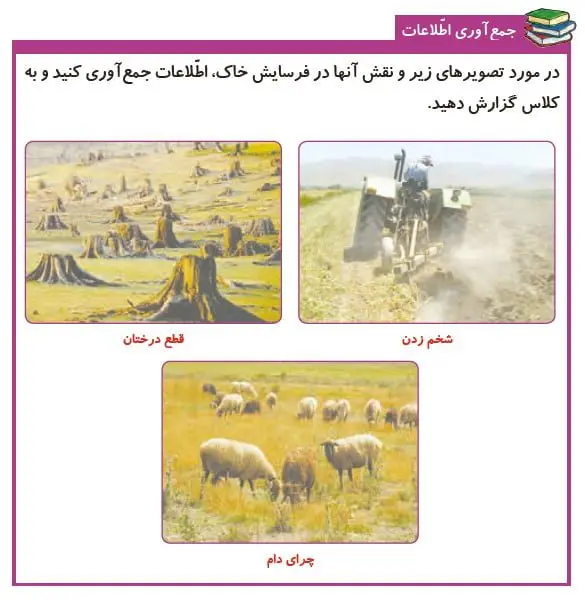 جمع آوری اطلاعات صفحه 88 علوم پنجم