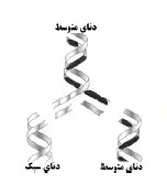چگالی متوسط و سبک رشته‌های DNA در همانندسازی DNA-زیست دوازدهم