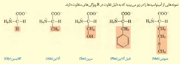نمونه‌هایی از آمینواسیدها-زیست دوازدهم فصل یکم