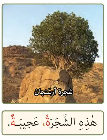 اسم اشاره مؤنث درس 1 عربی 7 بخش دوم