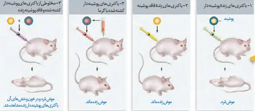 آزمایش گریفیت و نتایج آن-زیست دوازدهم فصل 1