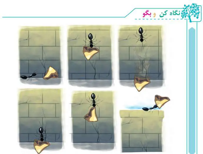 جواب نگاه کن و بگو صفحه 49 فارسی سوم دبستان 1400