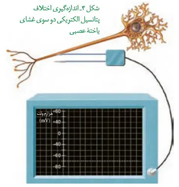 اندازه گیری اختلاف پتانسیل بین دو سوی غشا زیست یازدهم