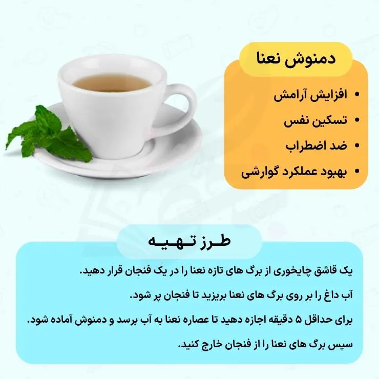 5 دمنوش مناسب برای کنکوریها + روش تهیه 10 دمنوش مناسب برای حفظ آرامش کنکوری ها
