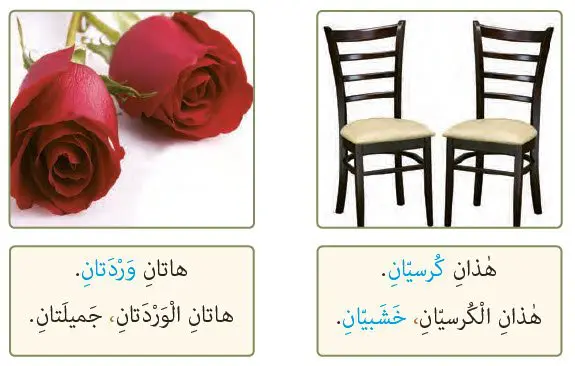 اسم اشاره مثنی درس 1 عربی 7