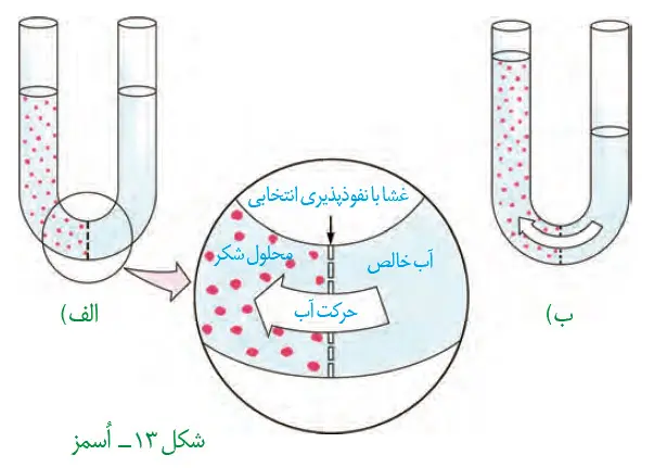 اسمز-فصل 1 از زیست دهم