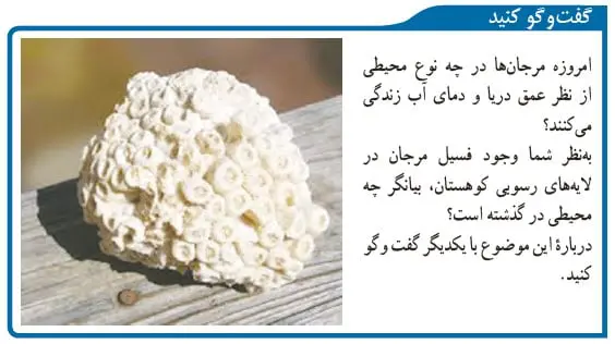 گفت و گو کنید صفحه 82 علوم نهم