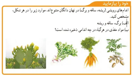 خود را بیازمایید صفحه 137 علوم نهم