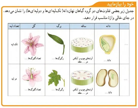 خود را بیازمایید صفحه 137 علوم نهم