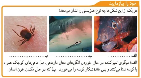 خود را بیازمایید صفحه 167 علوم نهم