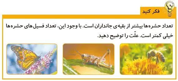 فکر کنید صفحه 33 علوم پنجم