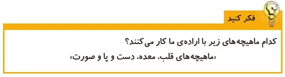فکر کنید صفحه 39 علوم پنجم