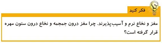 فکر کنید صفحه 43 علوم پنجم