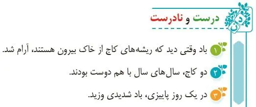 جواب درست و نادرست درس پانزدهم کاجستان صفحه 113 فارسی پنجم