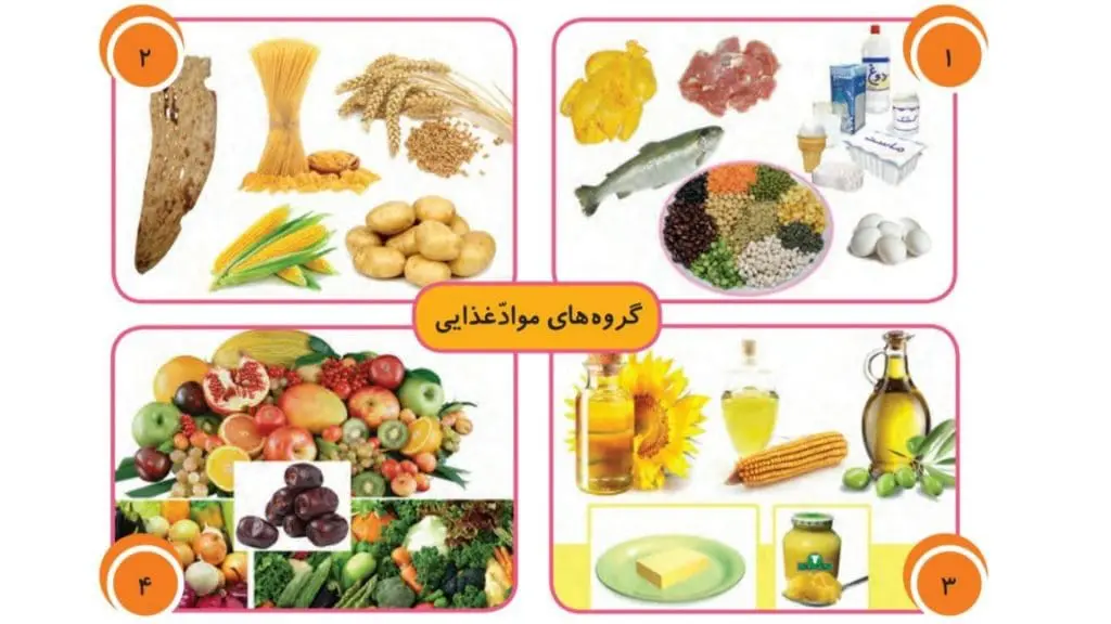 آموزش فصل دوم علوم سوم دبستان | مقایسه صفحه 15