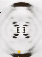 تصویر DNA با پرتو ایکس