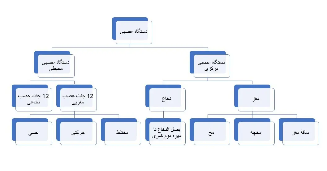 پاسخ فعالیت 9 صفحه 18 زیست یازدهم درس 1