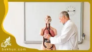 جواب فعالیت‌های زیست دهم