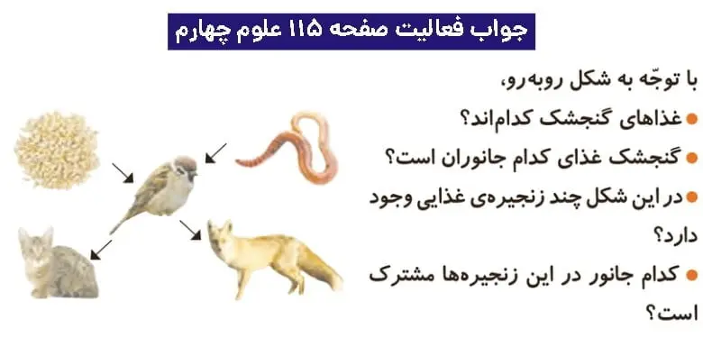 جواب فعالیتهای علوم چهارم ابتدایی 131 پاسخ فعالیت صفحه ۱۱۵ علوم چهارم