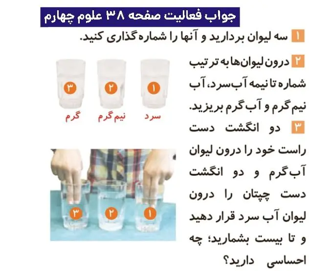 جواب فعالیتهای علوم چهارم ابتدایی 91 پاسخ فعالیت صفحه ۳۸ علوم چهارم ابتدای