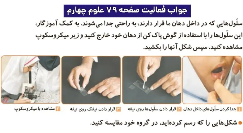 جواب فعالیتهای علوم چهارم ابتدایی 121 پاسخ فعالیت صفحه ۷۹ علوم چهارم ابتدایی
