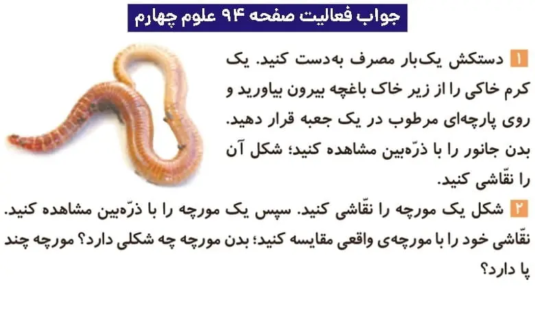جواب فعالیتهای علوم چهارم ابتدایی 126 پاسخ فعالیت صفحه ۹۴ علوم چهارم ابتدایی