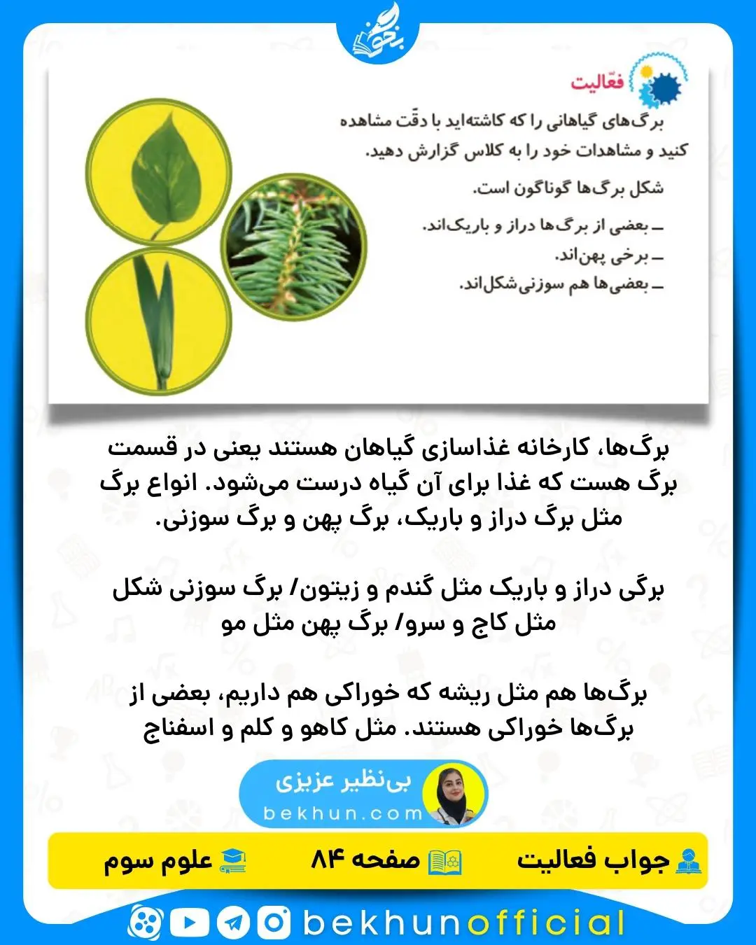 جواب فعالیت صفحه 84 علوم سوم