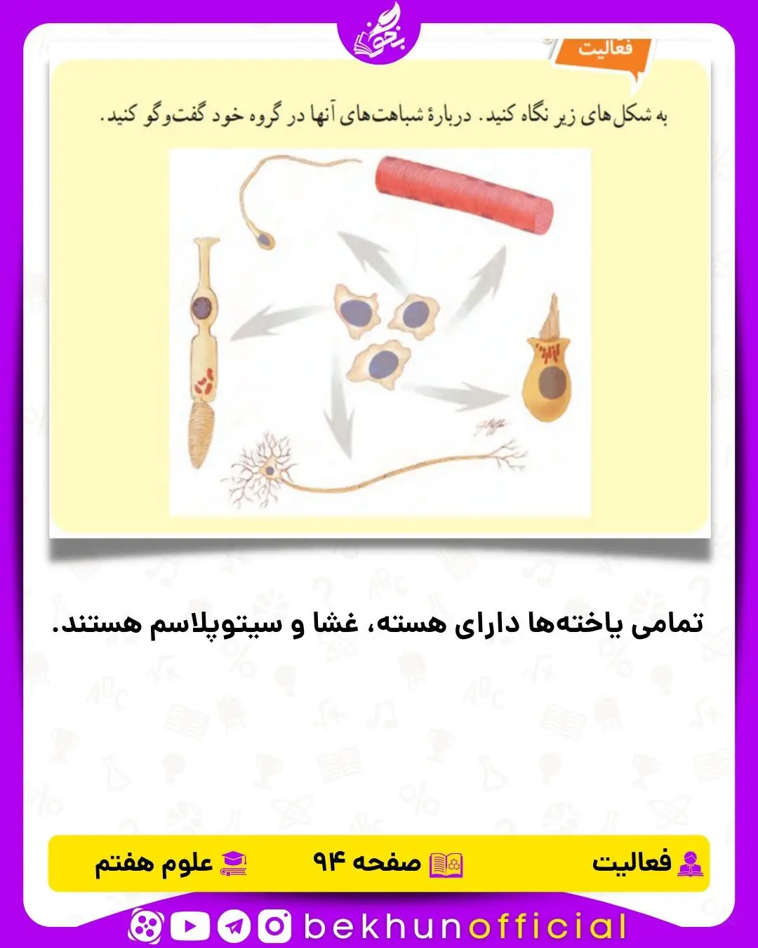 فعالیت صفحه 94 علوم هفتم