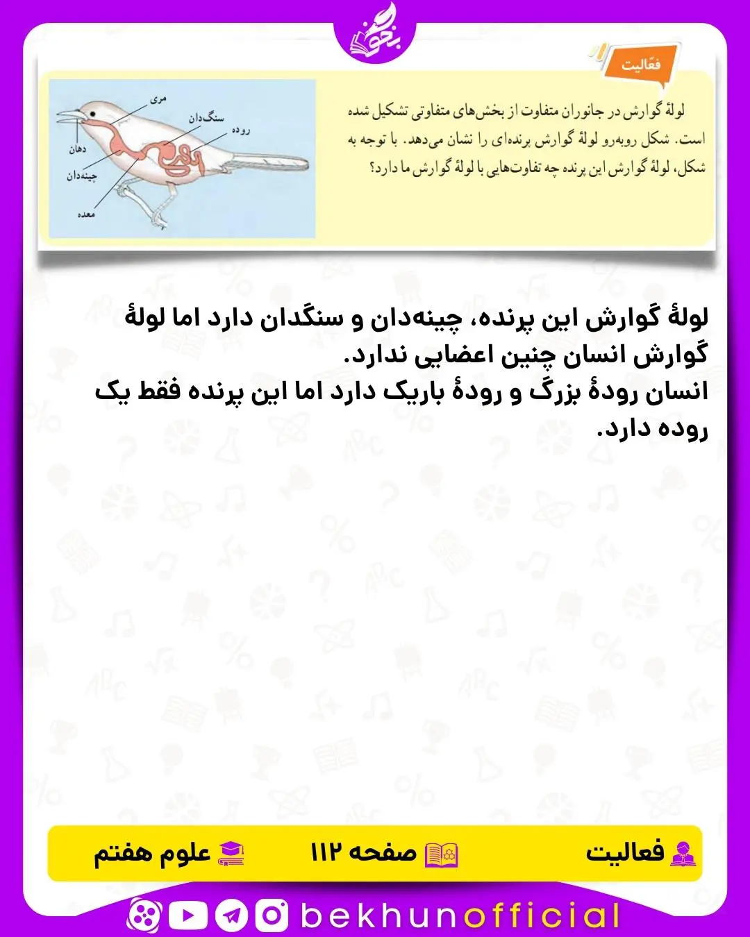 فعالیت صفحه 112 علوم هفتم