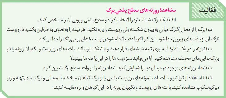 پاسخ فعالیت صفحه 109 زیست دهم