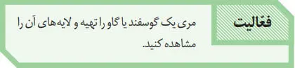 پاسخ فعالیت صفحه 19 زیست دهم