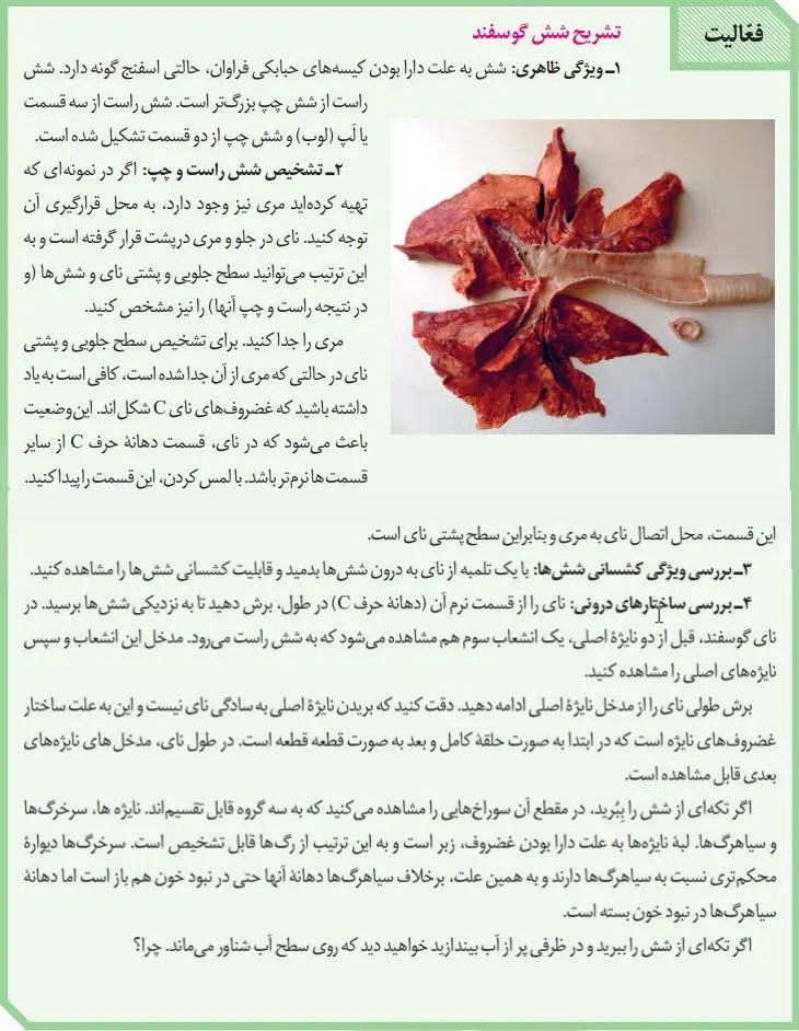 پاسخ فعالیت صفحه 41 و 42 زیست دهم