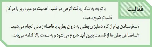 پاسخ فعالیت صفحه 52 زیست دهم