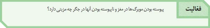 پاسخ فعالیت صفحه 58 زیست دهم