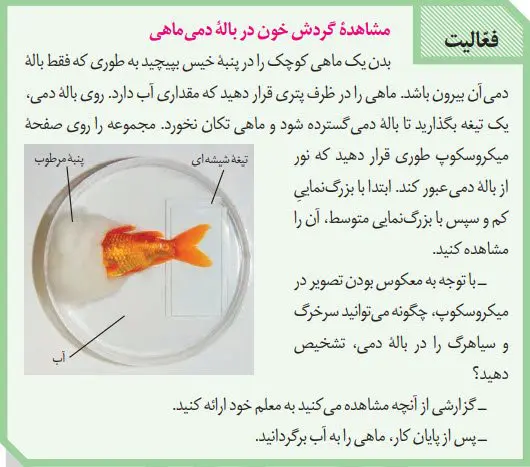 پاسخ فعالیت صفحه 59 زیست دهم