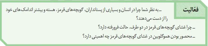 پاسخ فعالیت صفحه 62 زیست دهم