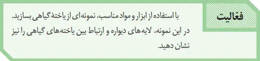 پاسخ فعالیت صفحه 81 زیست دهم