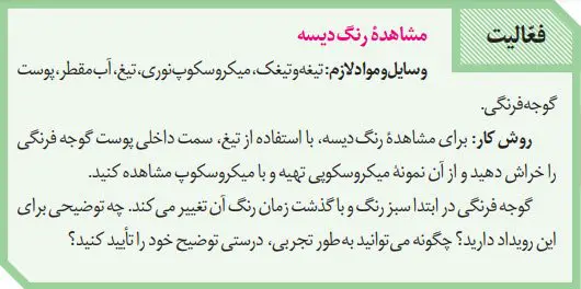 پاسخ فعالیت صفحه 84 زیست دهم