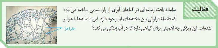 پاسخ فعالیت صفحه 87 زیست دهم