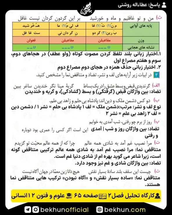 جواب کارگاه تحلیل فصل علوم و فنون ادبی دوازدهم انسانی 29 پاسخ کارگاه تحلیل فصل دوم صفحه 65 علوم و فنون ادبی دوازدهم انسانی