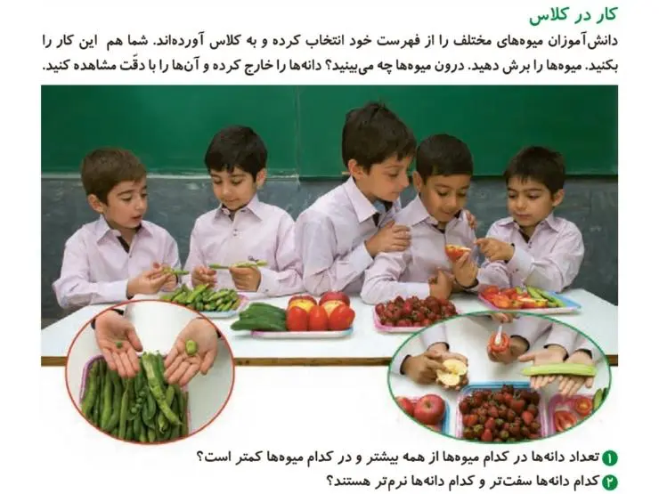 کار در کلاس صفحه 65 علوم دوم ابتدایی