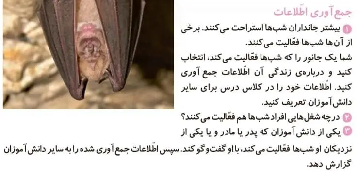 جمع‌آوری اطلاعات صفحه 29 علوم دوم ابتدایی