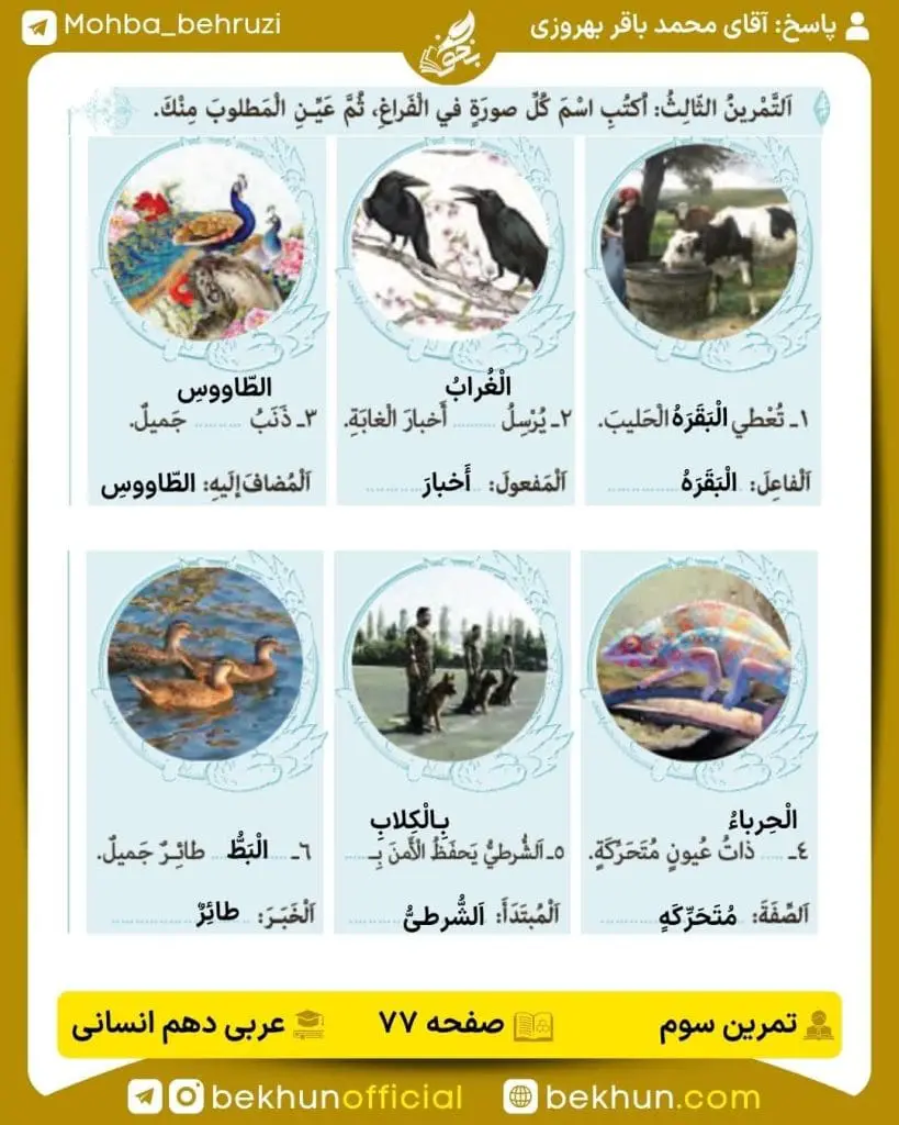 جواب تمرینات عربی دهم انسانی 53 پاسخ تمرین سوم صفحه 77 عربی دهم انسانی