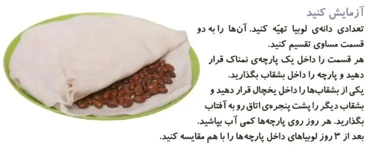 آزمایش کنید صفحه 28 علوم دوم ابتدایی