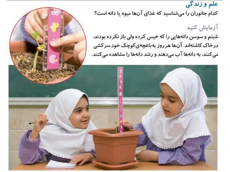 آزمایش کنید صفحه 66 علوم دوم ابتدایی