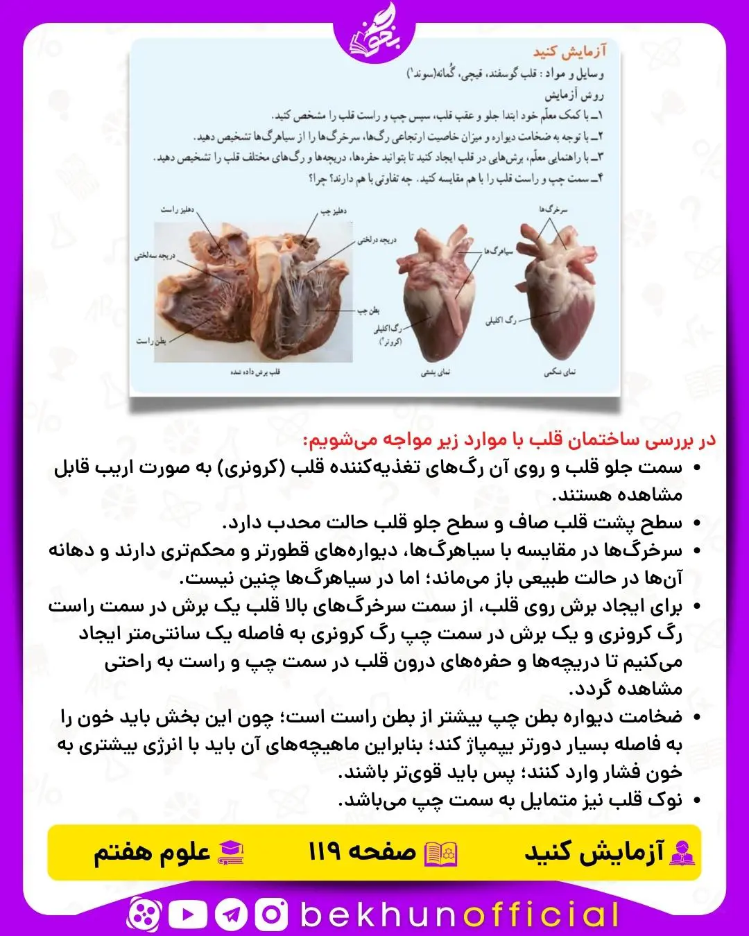 آزمایش صفحه 119 علوم هفتم