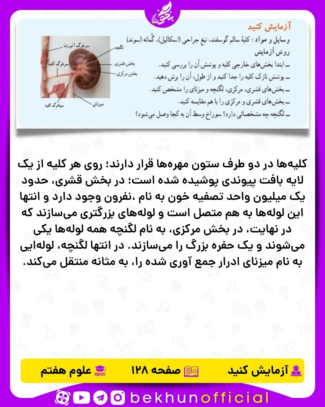 آزمایش صفحه 128 علوم هفتم