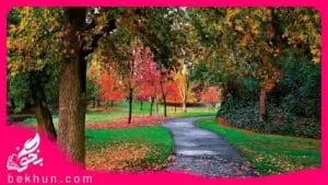 گام به گام درس اول عربی نهم