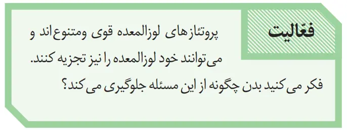 جواب فعالیت زیست دهم فصل دو | فعالیت صفحه 23